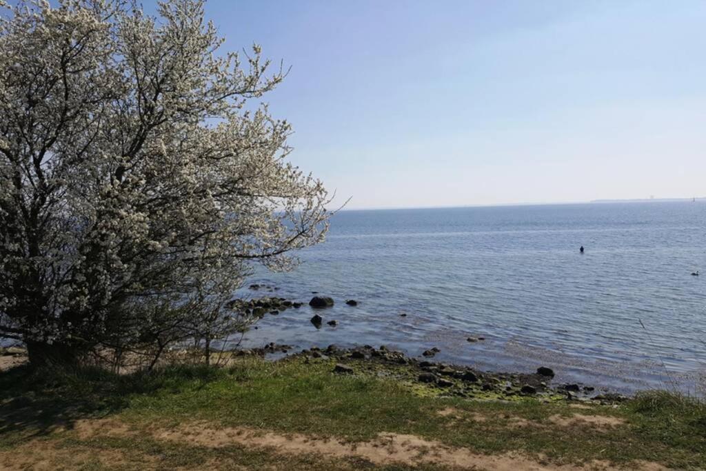 Meerblick Ferienwohnung Sierksdorf Buitenkant foto